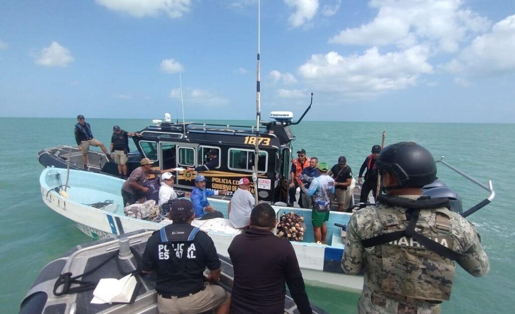 Frenan pesca furtiva en Celestún Imagen De WhatsApp 2025 06 23 A Las 09.19.25 Fc6c5a12 1024x626