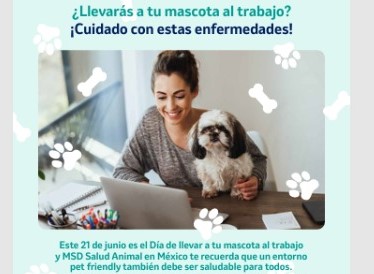 ¿Piensas llevar a tu mascota al trabajo? VIENTOS UNO
