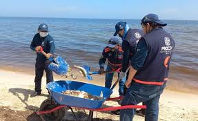 Sí hay marea roja en costas yucatecas, confirman Científicos del Cinvestav DOS 3