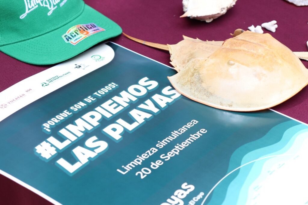 Convocan a limpieza simultánea de la costa yucateca IMG 20250827 WA0029 1024x682