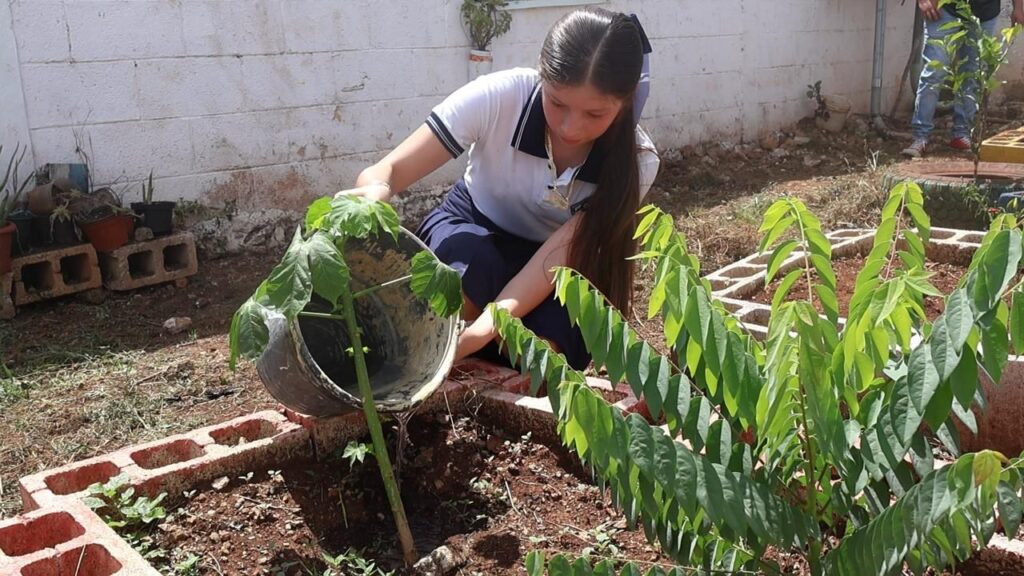 Escuelas de Yucatán se suman al programa Escuela Sustentable IMG 20250918 WA0006 1024x576