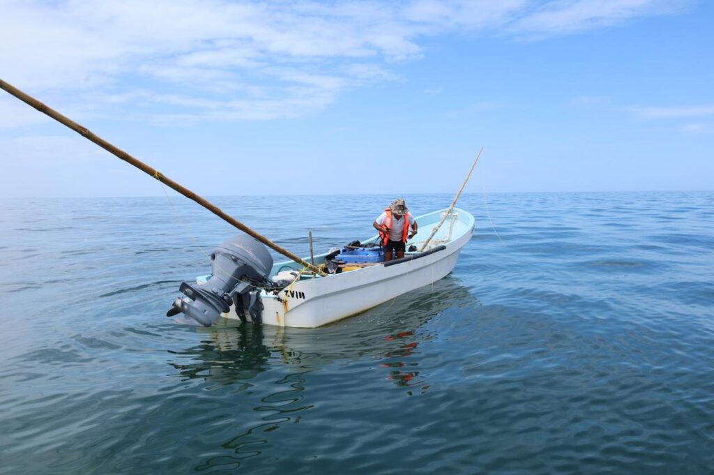 Convocan al Premio Estatal de Pesca y Acuacultura Ejemplar 2025 04148d4b 59b0 4a7a 82a3 1c0323958d65 1024x681