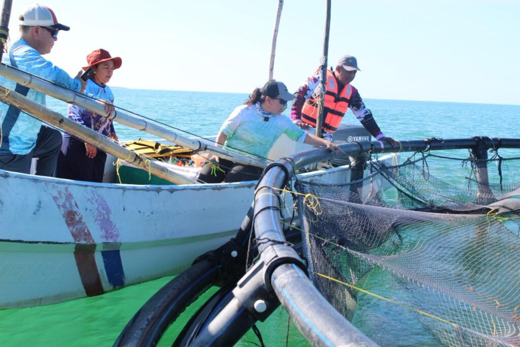 Convocan al Premio Estatal de Pesca y Acuacultura Ejemplar 2025 0abc200d 38ab 4244 93fe 66dcc242a51a 1024x683