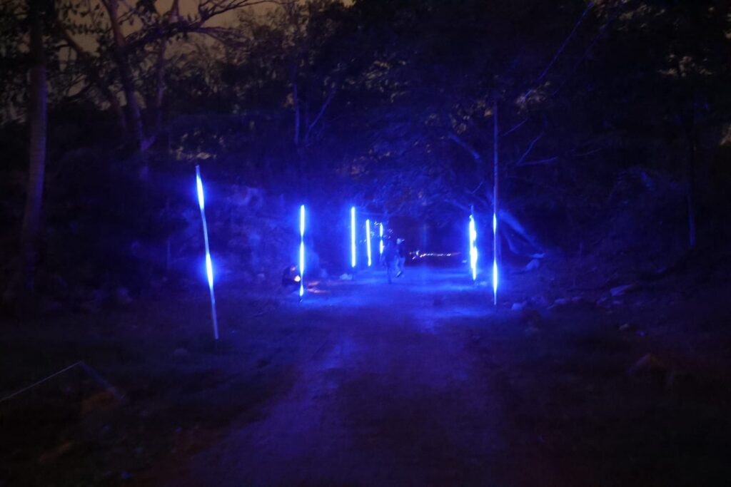 Cecilia Patrón inaugura “Sendero de Magia y Luz” en el Parque Ecológico del Poniente. 83759b4a A87a 4690 Ab87 92656b3fccc2 1024x683