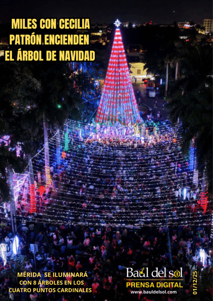 ARBOL DE NAVIDAD 724x1024