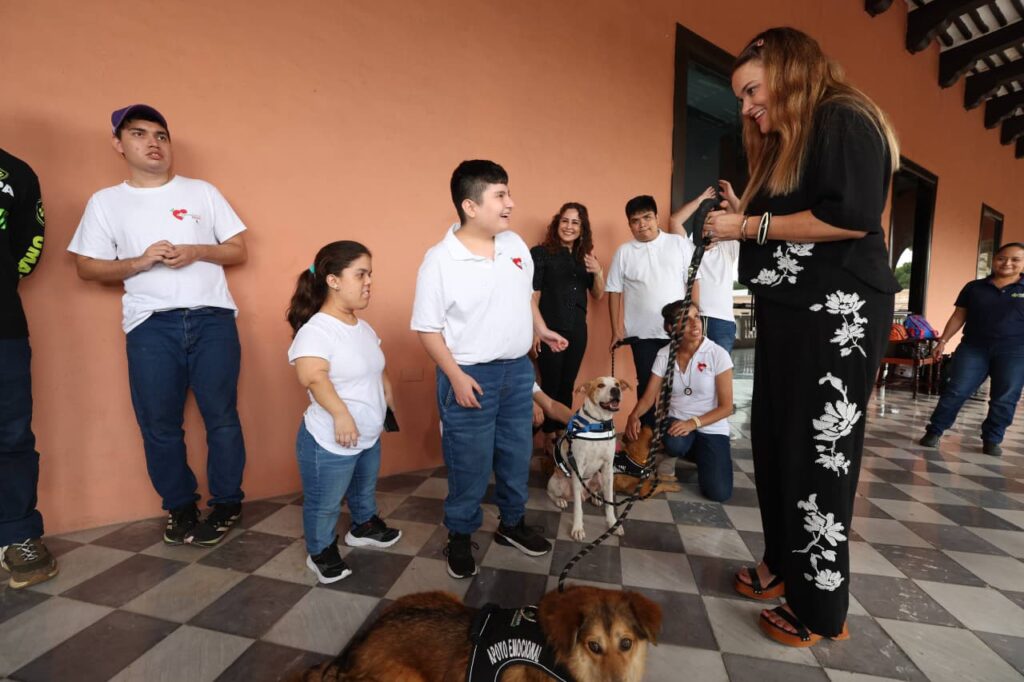 Desbordarán amor, ladridos y empatía los nuevos Reyes Caninos del Carnaval Mérida 2026 IMG 20251208 WA0026 1 1024x682