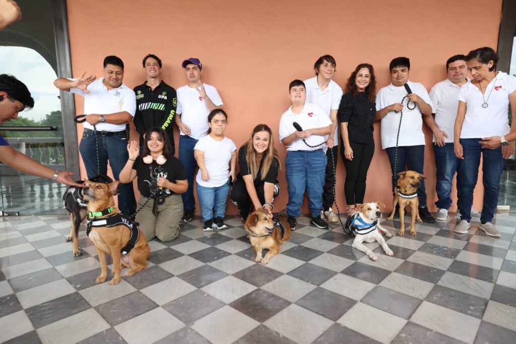 Desbordarán amor, ladridos y empatía los nuevos Reyes Caninos del Carnaval Mérida 2026 IMG 20251208 WA0028 1024x682