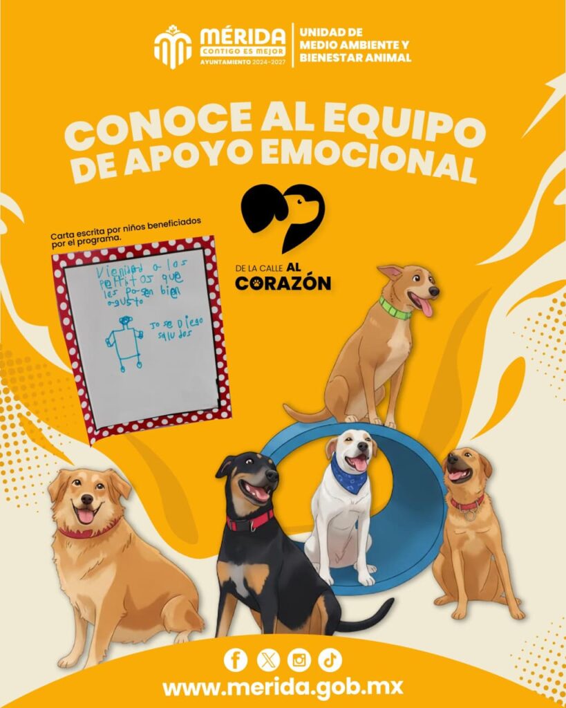 Desbordarán amor, ladridos y empatía los nuevos Reyes Caninos del Carnaval Mérida 2026 IMG 20251208 WA0035 819x1024