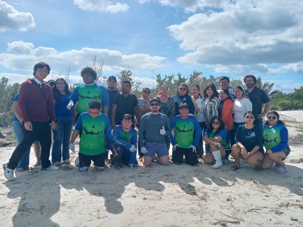 Reintegran tortuga caguama a su hábitat SEIS 1024x770