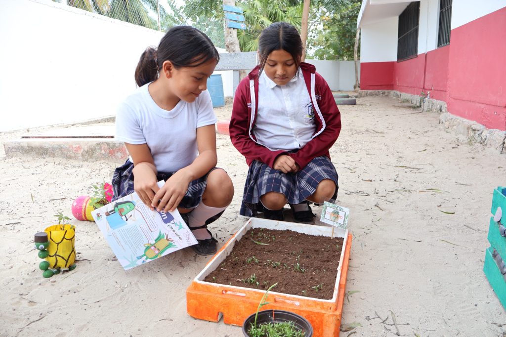 Escuelas de Río Lagartos y Las Coloradas son reconocidas por su compromiso ambiental UNO 1 18 1024x682