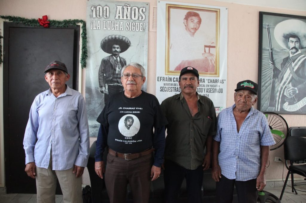 Denuncian tala ilegal en Yaxcabá WhatsApp Image 2026 01 16 At 21.47.26 1024x682