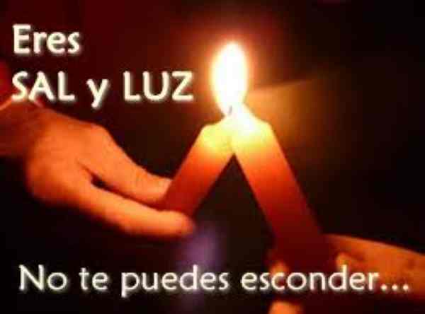 HOMILÍA “Ustedes son la sal de la tierra. Ustedes son la luz del mundo” 555