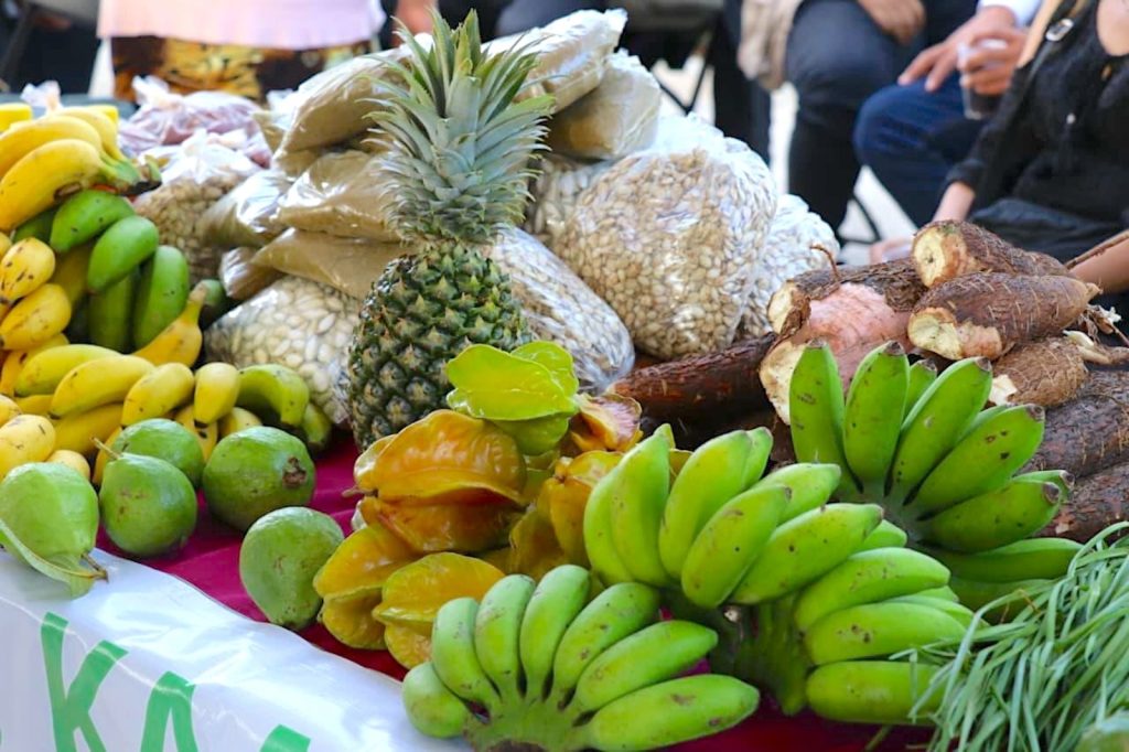 Regresa el Mercado Renacer del Campo Yucateco al Parque La Plancha TRES 1 23 1024x682