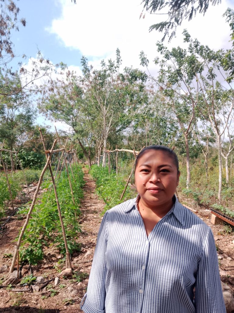 Desde las comunidades: Mérida impulsa un modelo turístico con raíces mayas y prosperidad compartida WhatsApp Image 2026 01 31 At 13.37.28 1 768x1024