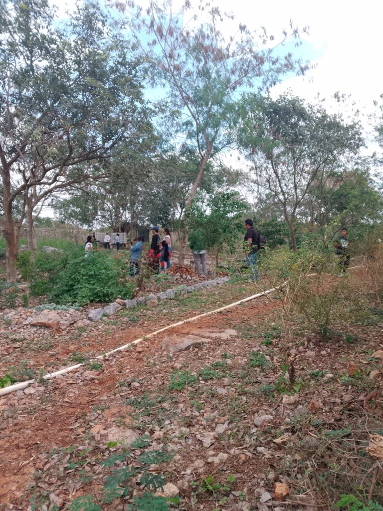 Desde las comunidades: Mérida impulsa un modelo turístico con raíces mayas y prosperidad compartida WhatsApp Image 2026 01 31 At 13.37.28 3 768x1024