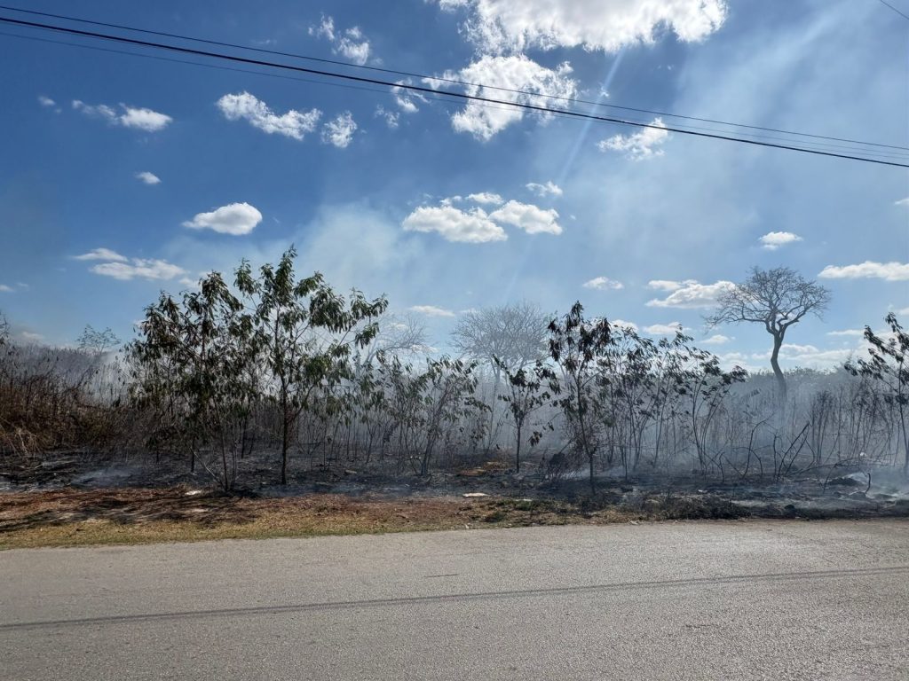 Oportuno control de incendio de basurero clandestino en la Reserva Cuxtal. WhatsApp Image 2026 02 26 At 16.01.08 1 1024x768