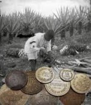 Recorte