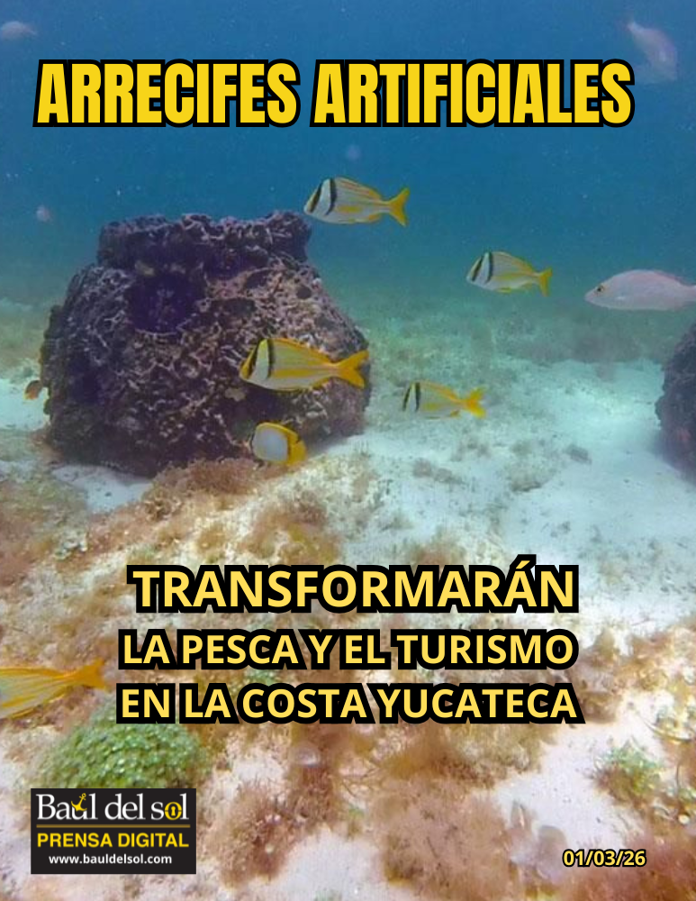 ARRECIFES ARTIFICIALES