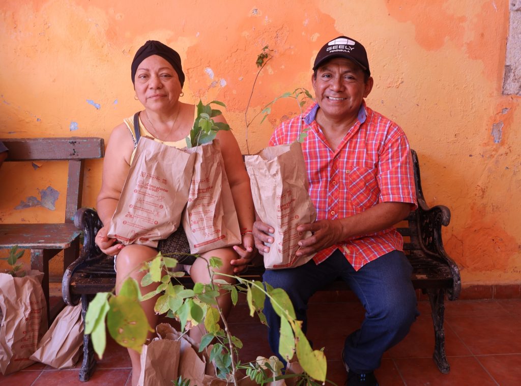 Impulsan producción apícola y restauración ambiental en Tekantó UNO 1024x758