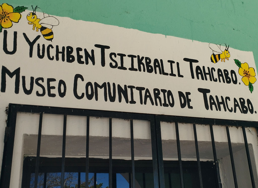 CINCO 5