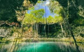 Reserva Ecologica Cuxtal 1