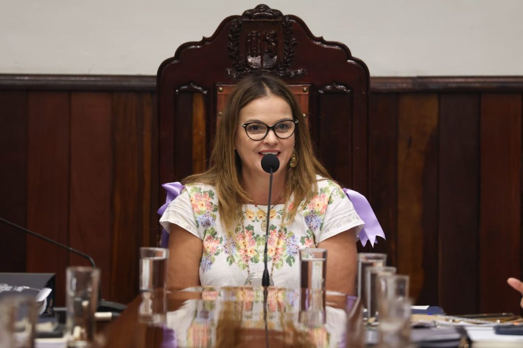 Cabildo de Mérida aprueba acciones para la inclusión, la salud mental y la cultura. A6867174 6421 4774 993a 08f263f2cbec 1024x683