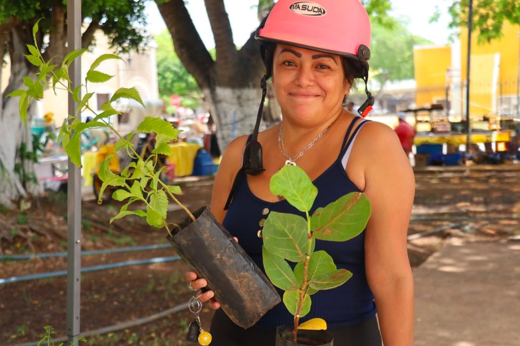 Mercado Circular recupera 1,363.5 kilogramos de reciclables en Izamal 2814f797 999f 4583 86a7 1c02472ee3c7 1024x682
