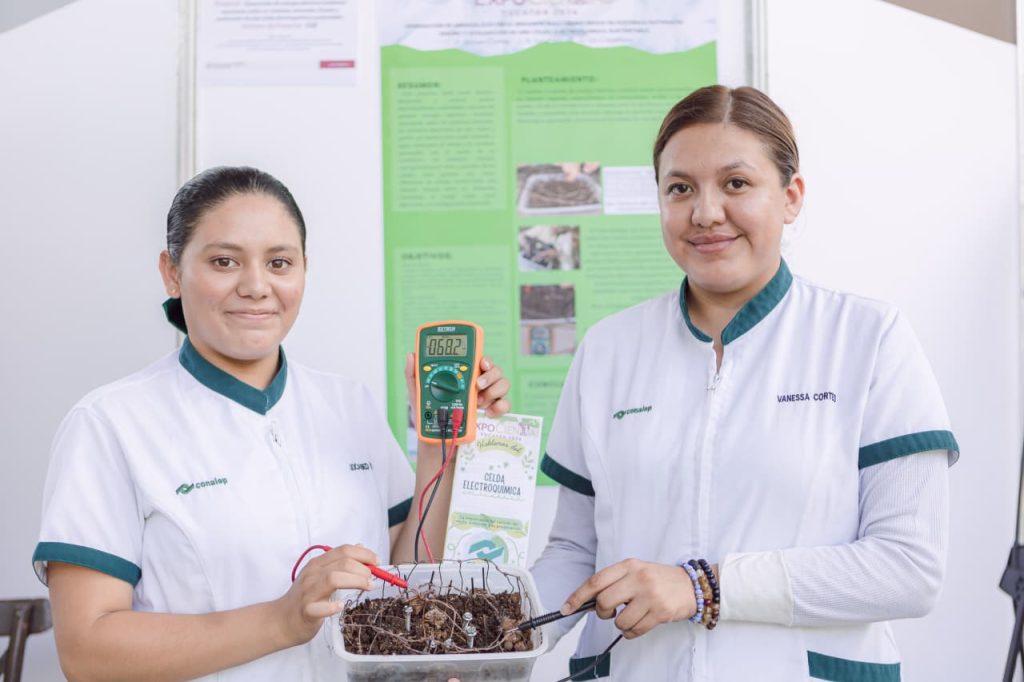 Concluye fase regional de ExpoCiencias Yucatán con 101 proyectos finalistas 7169edf2 2cb8 46a6 8b63 7b16a89fbc5e 1024x682