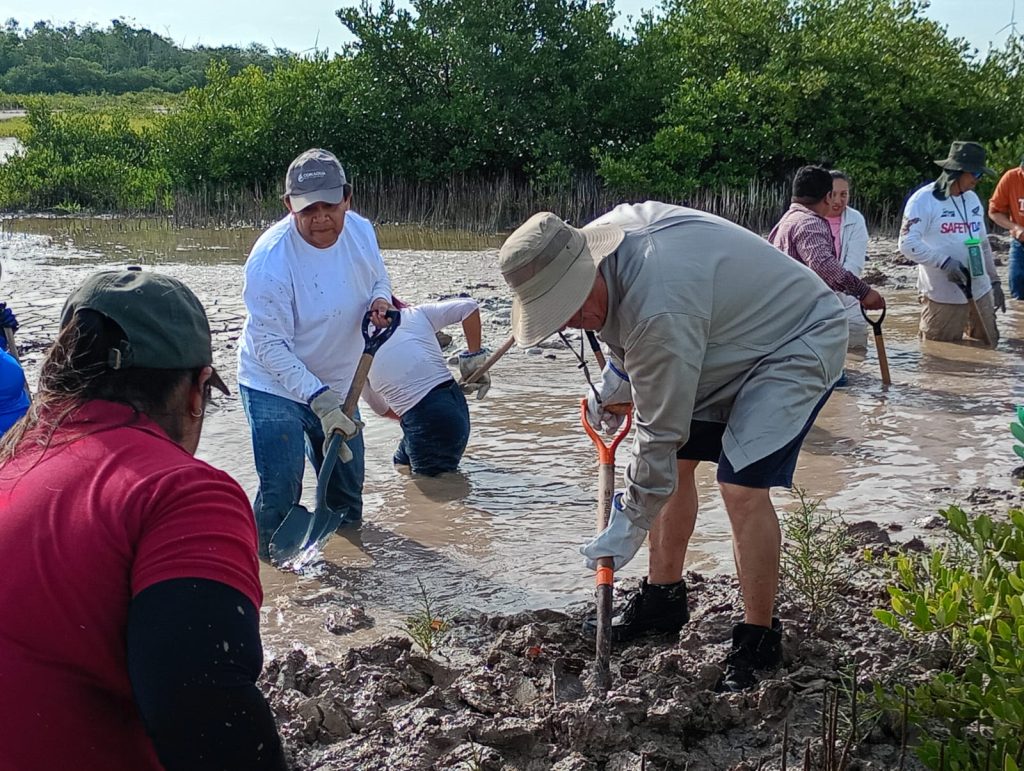 Conagua suma esfuerzos por la restauración del manglar y la protección del patrimonio natural de Progreso