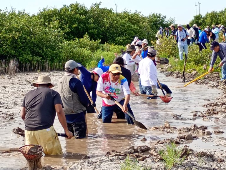 Conagua suma esfuerzos por la restauración del manglar y la protección del patrimonio natural de Progreso