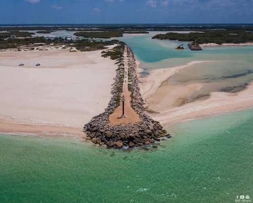 PROTECCIÓN DEL MANGLAR Y LA DUNA COSTERA EN CHUBURNÁ