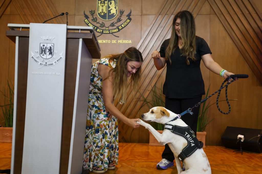 Más adopciones, más esterilizaciones y más acciones por el cuidado animal: Cecilia Patrón.