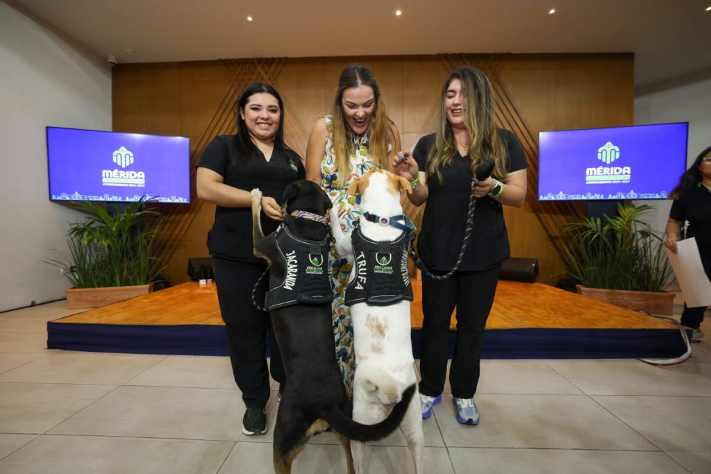 Más adopciones, más esterilizaciones y más acciones por el cuidado animal: Cecilia Patrón.
