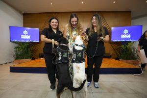 Más adopciones, más esterilizaciones y más acciones por el cuidado animal: Cecilia Patrón.
