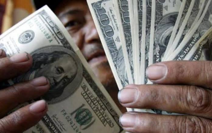 DOLARES