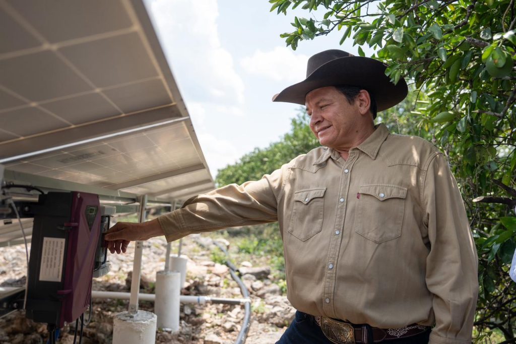 Renacimiento Maya cumple en territorio y fortalece al campo yucateco con obras, agua y apoyos productivos / Joaquín Díaz Mena