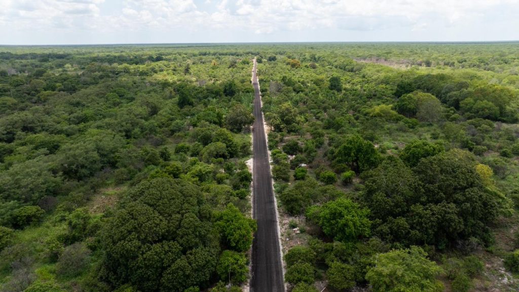 Renacimiento Maya cumple en territorio y fortalece al campo yucateco con obras, agua y apoyos productivos / Joaquín Díaz Mena