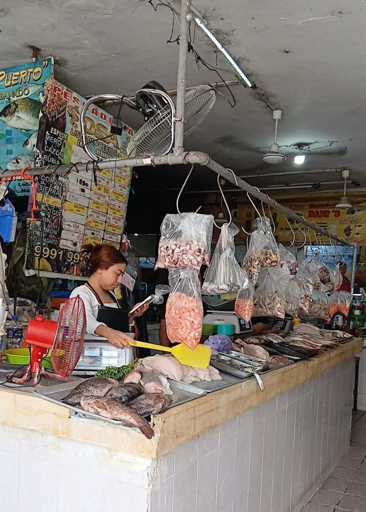 MÉRIDA APUESTA POR SUS MERCADOS