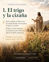 “Explícanos la parábola de la cizaña sembrada en el campo”
