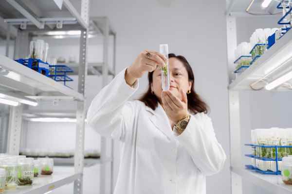 ESPECIALISTAS DE 4 PAÍSES EN BIOTECNOLOGÍA A NIVEL GLOBAL SE REUNIRÁN EN YUCATÁN