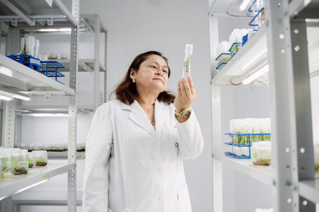 ESPECIALISTAS DE 4 PAÍSES EN BIOTECNOLOGÍA A NIVEL GLOBAL SE REUNIRÁN EN YUCATÁN