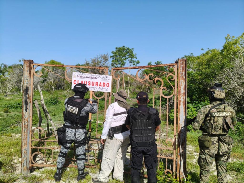 PROFEPA CLAUSURA 17 POLÍGONOS EN LA RESERVA DE LA BIOSFERA RÍA CELESTÚN