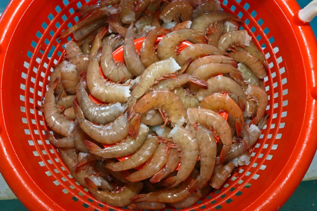 En agosto comienza la veda de abulón, langostino, pulpo y tiburones EN AGOSTO COMIENZA LA VEDA DE ABULÓN, LANGOSTINO, PULPO Y TIBURONES