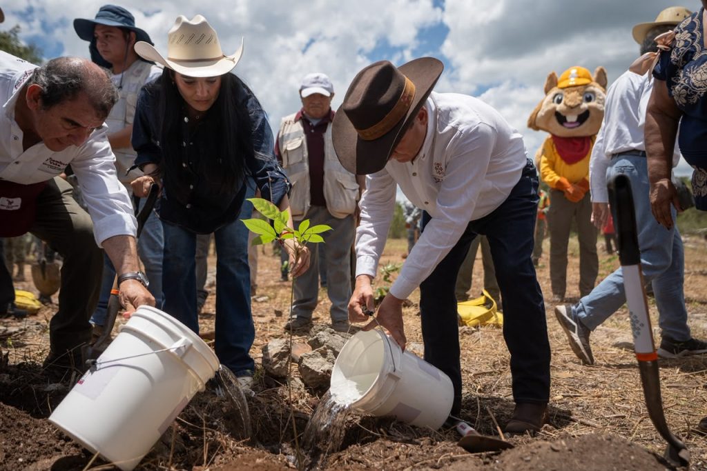 Inicia la Jornada Nacional de Reforestación con 64 mil plantas nativas en Yucatán