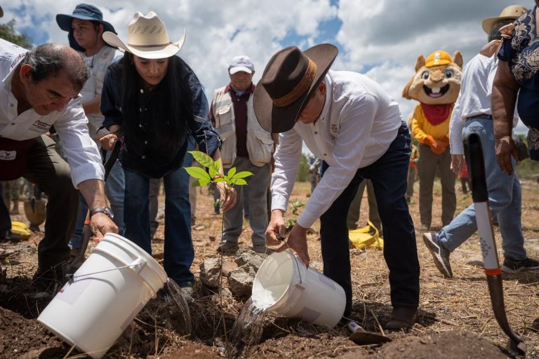 Inicia la Jornada Nacional de Reforestación con 64 mil plantas nativas en Yucatán
