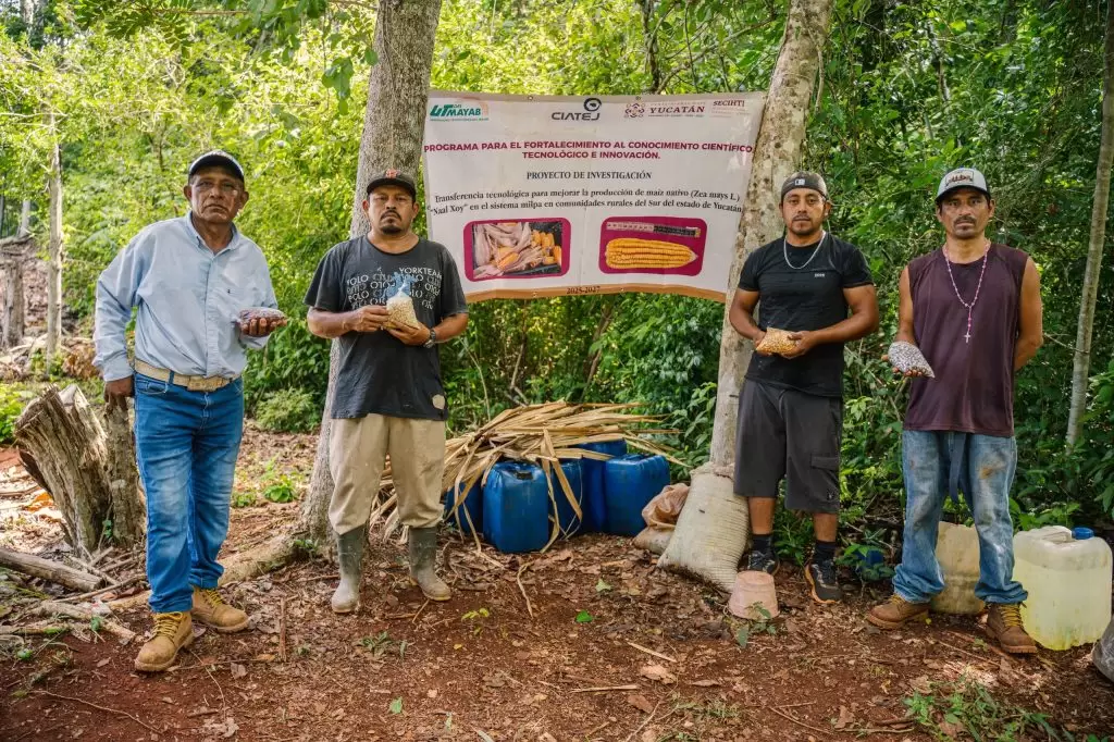 CIENCIA Y SABER COMUNITARIO SE UNEN PARA MEJORAR LA PRODUCCIÓN DE MAÍZ NATIVO EN PETO