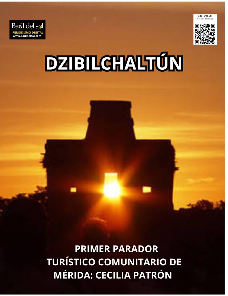 portada web dzibil