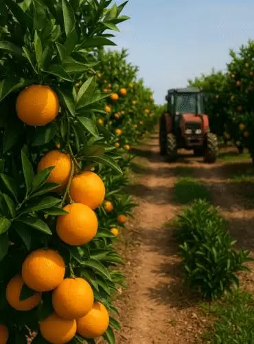 Precios aprietan al consumo: comercio encara un cierre de 2026 más desafiante