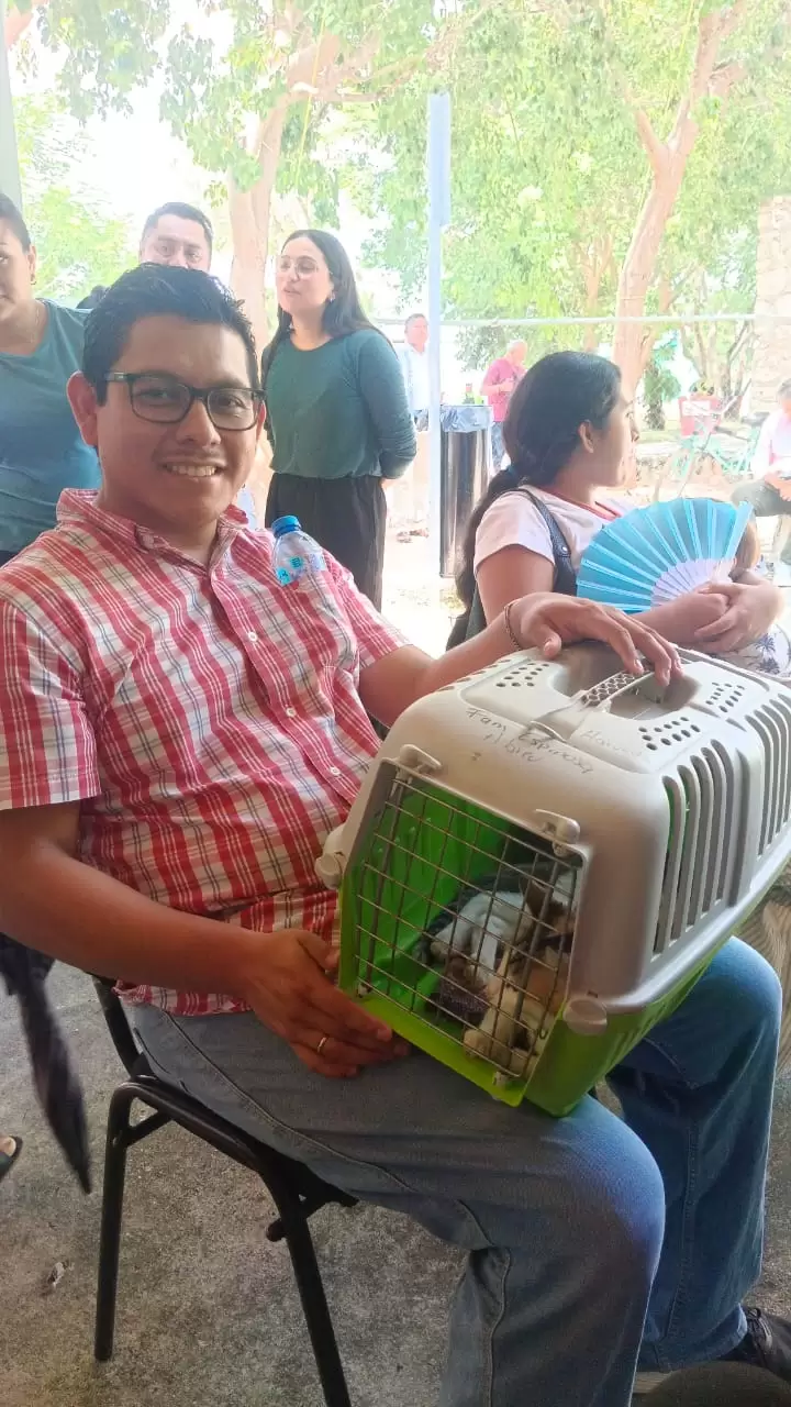 28 años sin rabia humana: Yucatán refuerza el escudo sanitario de perros y gatos