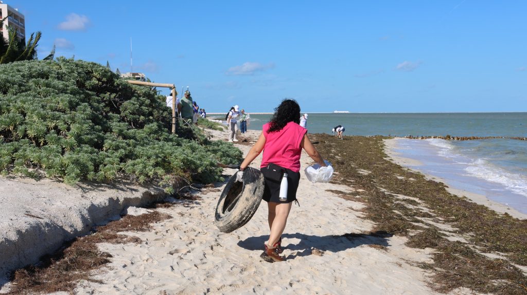 FRENAN CONTAMINACIÓN COSTERA EN CHICXULUB PUERTO; RECOLECTAN MÁS DE 300 KG DE BASURA